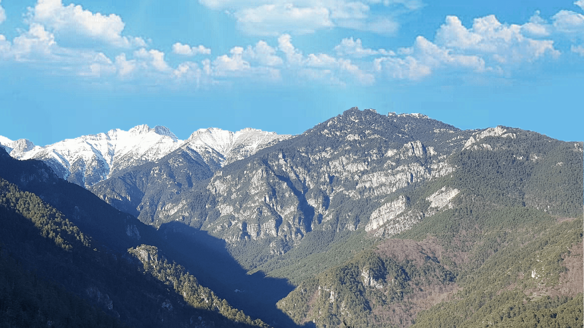 Mt. Olympus