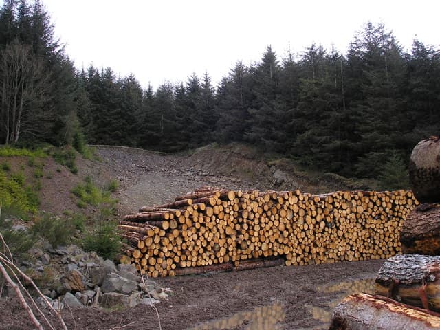 Ballynaglogh Standing Stones, Ballycastle, Northern Ireland