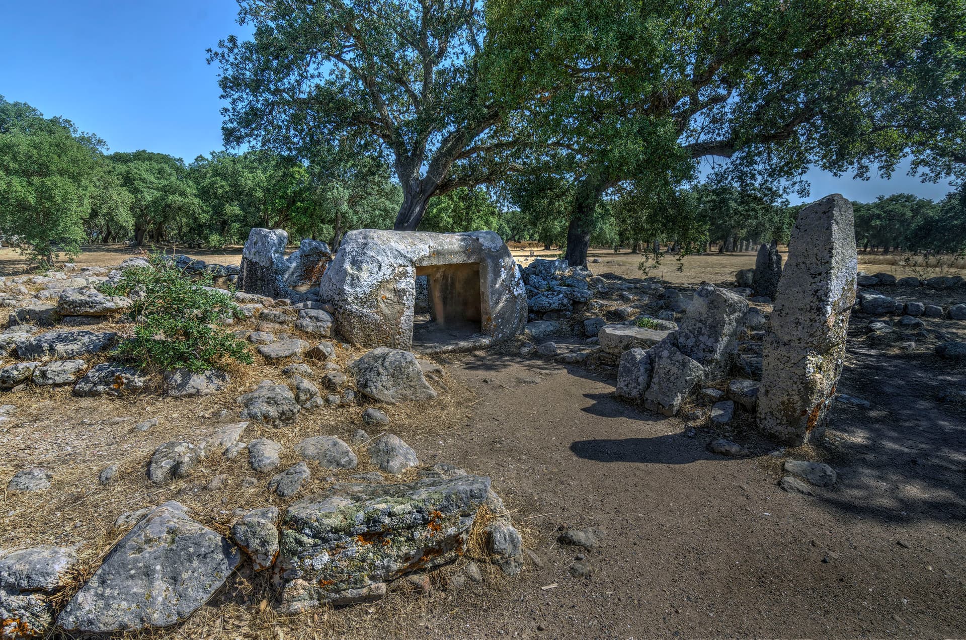 Necropolis of Pranu Mutteddu