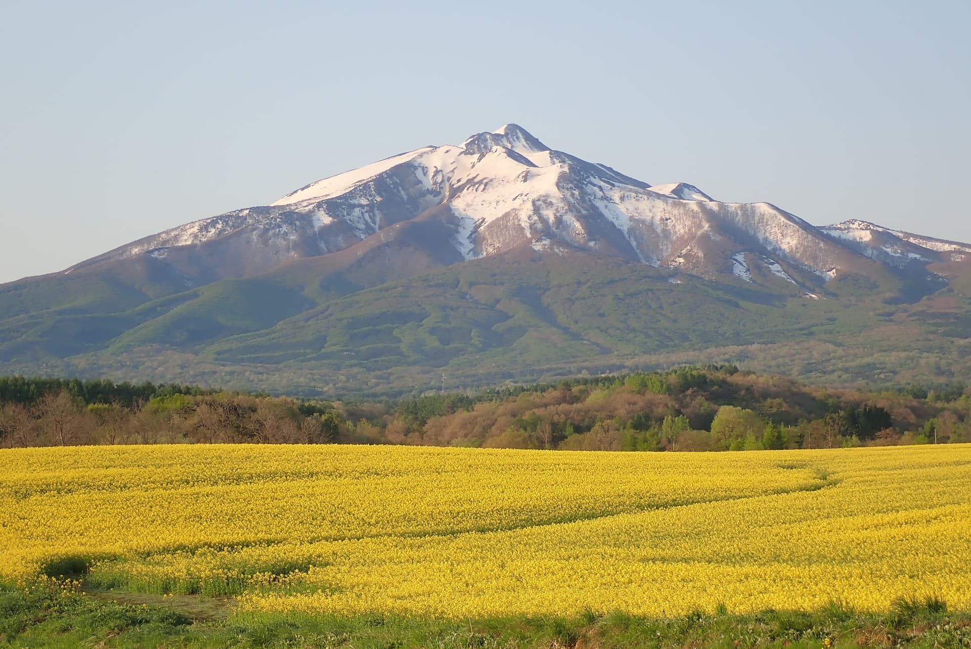 Mt. Iwaki