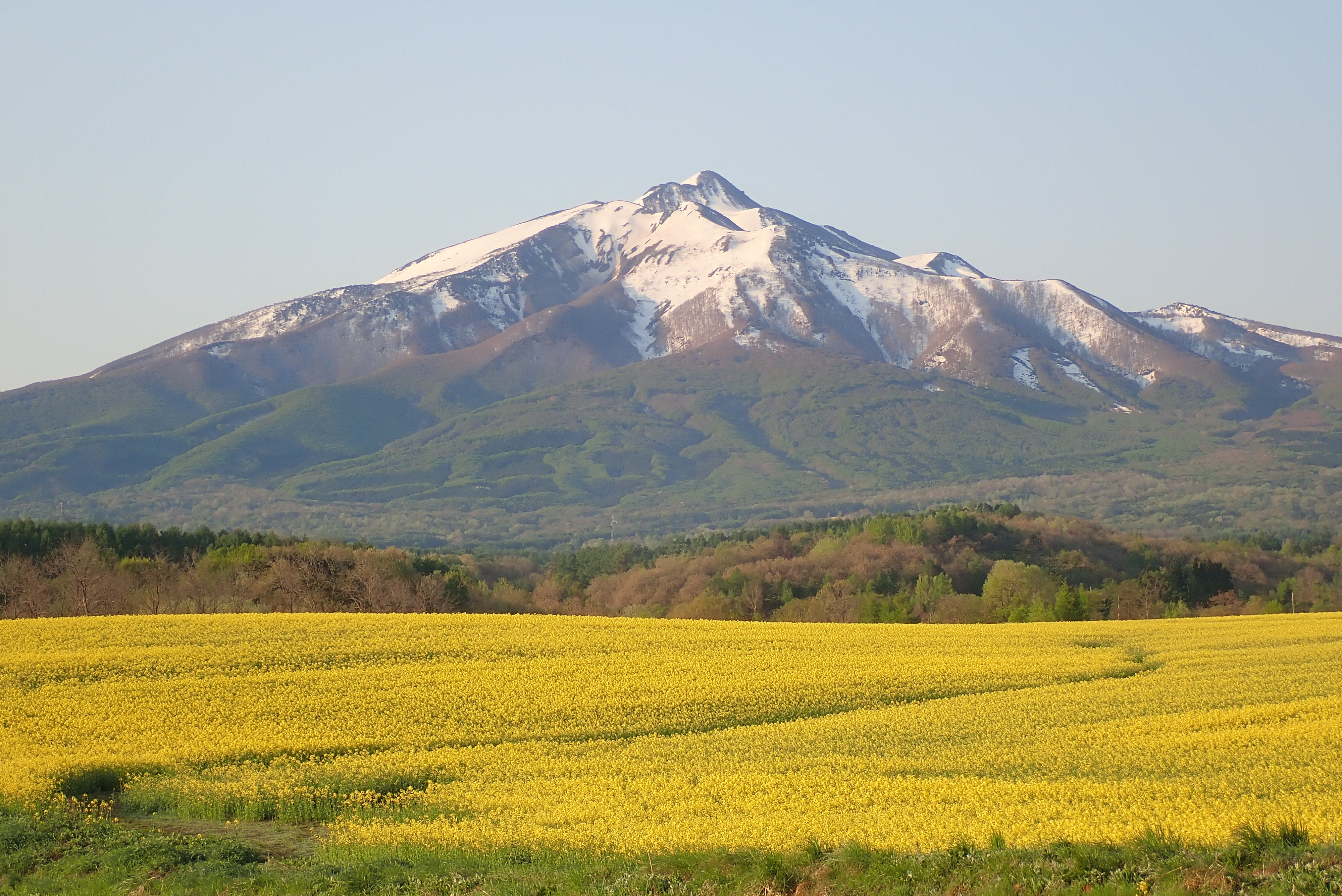 Mt. Iwaki
