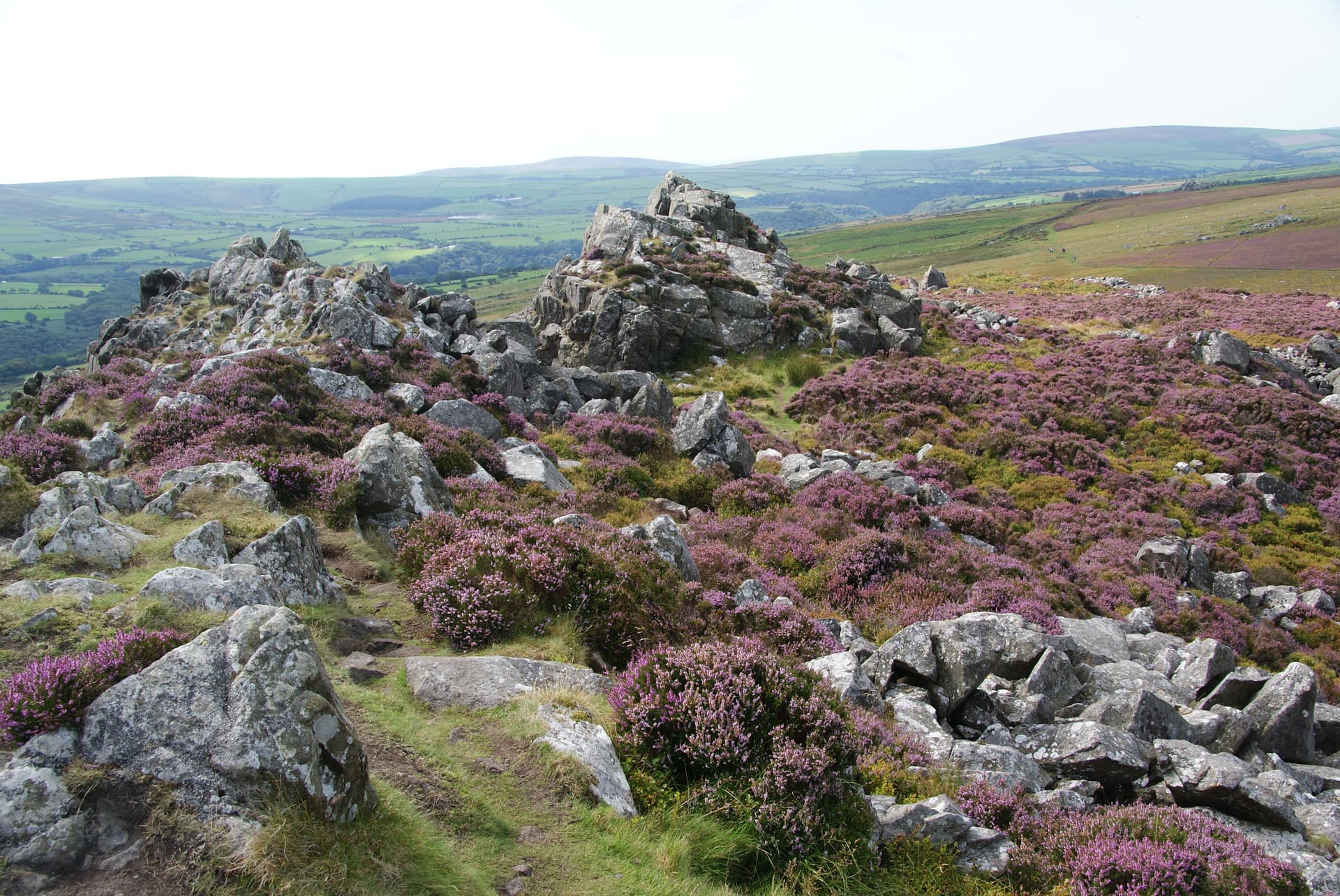 Carn Ingli